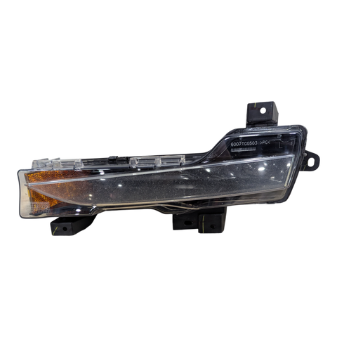 ENSEMBLE DE FEUX DE CARÉNAGE TESLA MODÈLE 3, BASE SAE, CÔTÉ GAUCHE 1077389-00-F