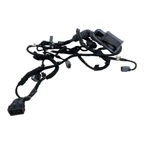 CHEVROLET VOLT GEN 1 HARNESS ASSEMBLY, FRONT SIDE DOOR WIRING 23145056