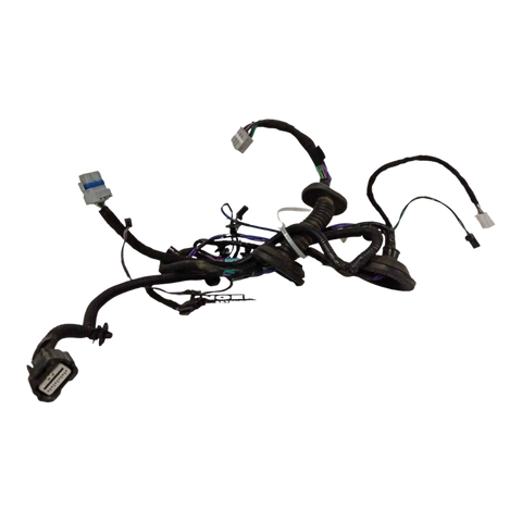 TESLA MODEL SASY,HRN,MDLS,ALL,DOOR RR LT 1004425-00-M