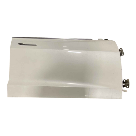 TESLA MODEL 3  FRONT DOOR , RH 1081420-E0-C