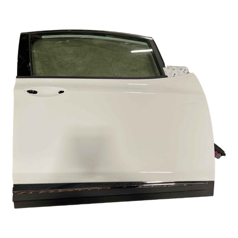 CHEVROLET BOLT EV  DOOR, FRONT RIGHT 42598838